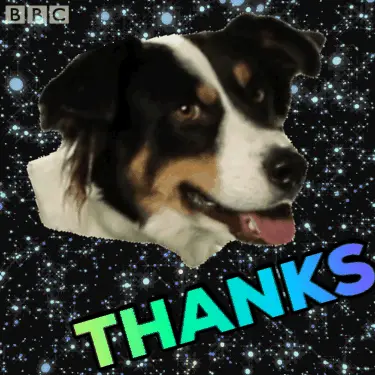 Thanks Thank You